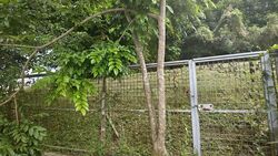 Jalan Kebaya (D10), Terrace #590068271